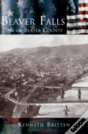 Capa do artigo Beaver Falls