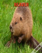 Beaver