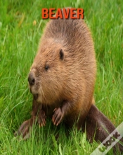 Capa do artigo Beaver