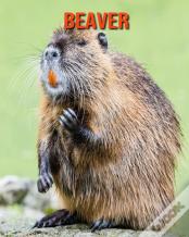 Beaver