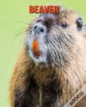Beaver