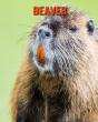 Beaver - Preview