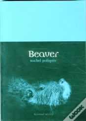Capa do artigo Beaver