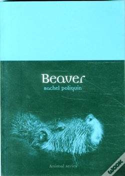 Capa do artigo Beaver