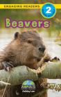 Beavers - Preview