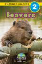 Beavers - Preview