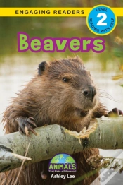 Capa do artigo Beavers