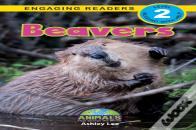 Beavers