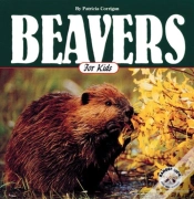 Capa do artigo Beavers For Kids