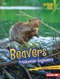 Beavers - Preview