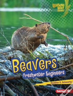 Capa do artigo Beavers