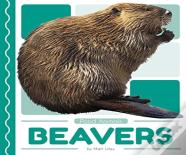 Beavers