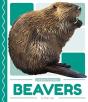 Beavers - Preview