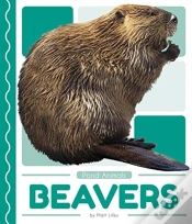 Capa do artigo Beavers