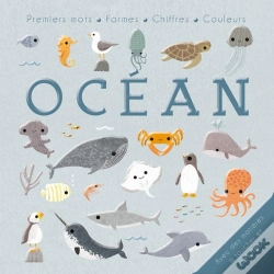 Capa do artigo Bébé Découvre : Océan