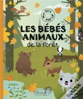 Bebes Animaux De La Foret