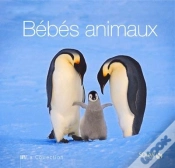 Capa do artigo Bebes Animaux - La Collection