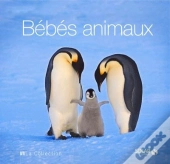 Bebes Animaux - La Collection