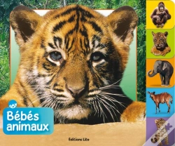 Capa do artigo Bebes Animaux : La Jungle
