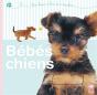 Bébés Chiens - Preview