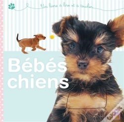 Capa do artigo Bébés Chiens