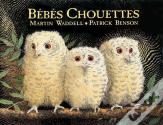 Bébés Chouettes