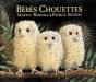 Bébés Chouettes - Preview