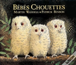 Capa do artigo Bébés Chouettes