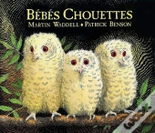 Bebes Chouettes