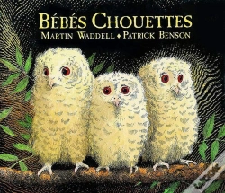 Capa do artigo Bebes Chouettes