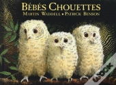 Bébés Chouettes