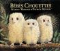 Bébés Chouettes - Preview