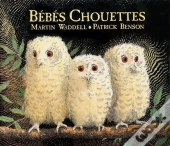 Bébés Chouettes