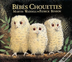 Capa do artigo Bébés Chouettes
