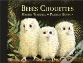 Bébés Chouettes