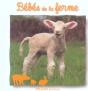 Bebes De La Ferme - Preview