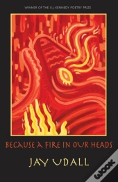 Because A Fire In Our Heads
