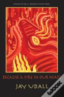 Because A Fire In Our Heads