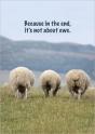 Because In The End, It'S Not About Ewe - Preview