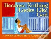 Capa do artigo Because Nothing Looks Like God