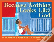 Capa do artigo Because Nothing Looks Like God