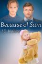 Because Of Sam - Preview