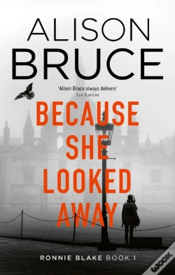 Capa do artigo Because She Looked Away