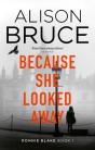 Because She Looked Away - Preview