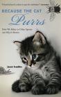 Because The Cat Purrs - Preview