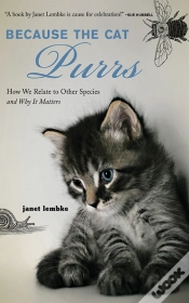 Capa do artigo Because The Cat Purrs
