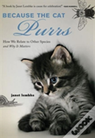 Because The Cat Purrs