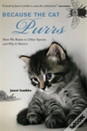 Capa do artigo Because The Cat Purrs