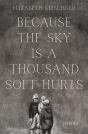 Because The Sky Is A Thousand Soft Hurts - Preview
