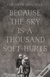 Capa do artigo Because The Sky Is A Thousand Soft Hurts
